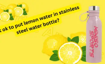 is it ok to put lemon water in stainless steel water bottle?